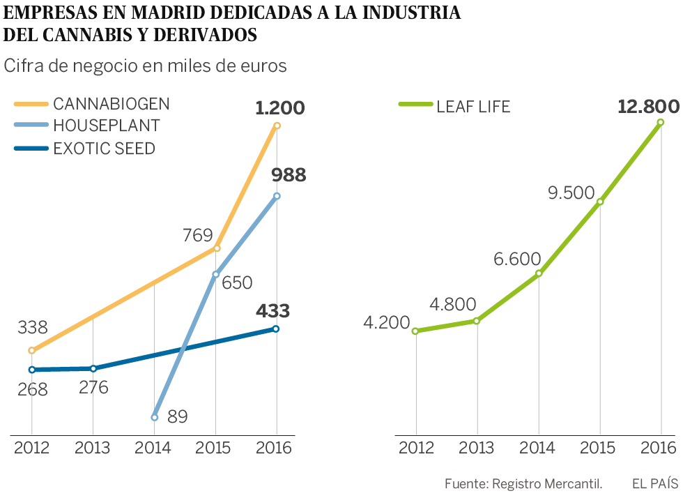 La marihuana florece en Madrid