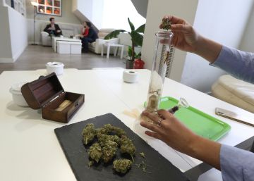 La marihuana florece en Madrid