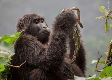 La fotografía, el mejor aliado de la naturaleza