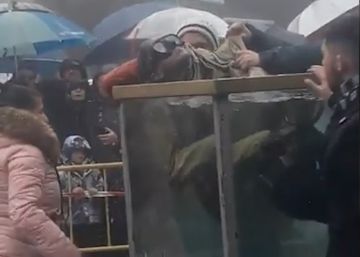 Un mago pierde el conocimiento en un truco de escapismo bajo el agua en Navacerrada