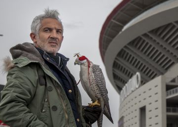 “Mis halcones viven como auténticos futbolistas”