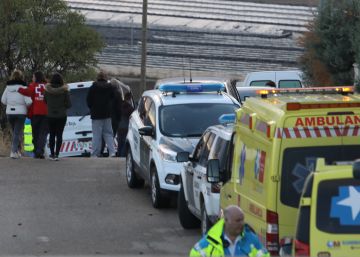 Sacrificados los perros que mataron a sus dueñas en Colmenar de Oreja