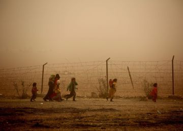 Javier de Lucas: “Los perdedores de la crisis de los refugiados son los ideales de los europeos”