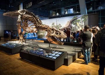 La oferta cultural de la Caixa en Cataluña atrajo 2,5 millones de visitantes
