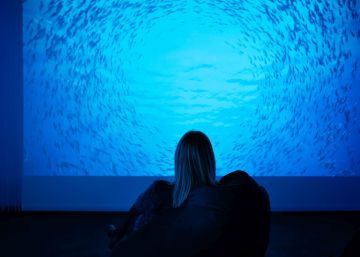 ‘Som Natura’: biodiversitat ets tu