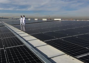 Carne de alimentación solar en Mercamadrid