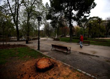 El Retiro cierra sus accesos por fuertes rachas de viento