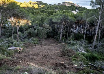 Otros 88 sectores del litoral entran en la suspensión de licencias de obras