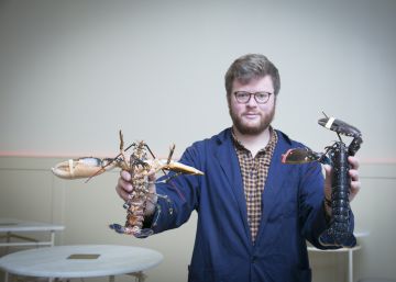 La nueva cocina francesa