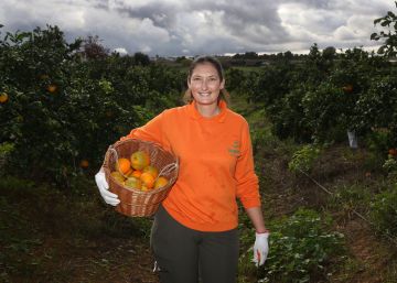 Dos realidades vitales para la modernización del campo