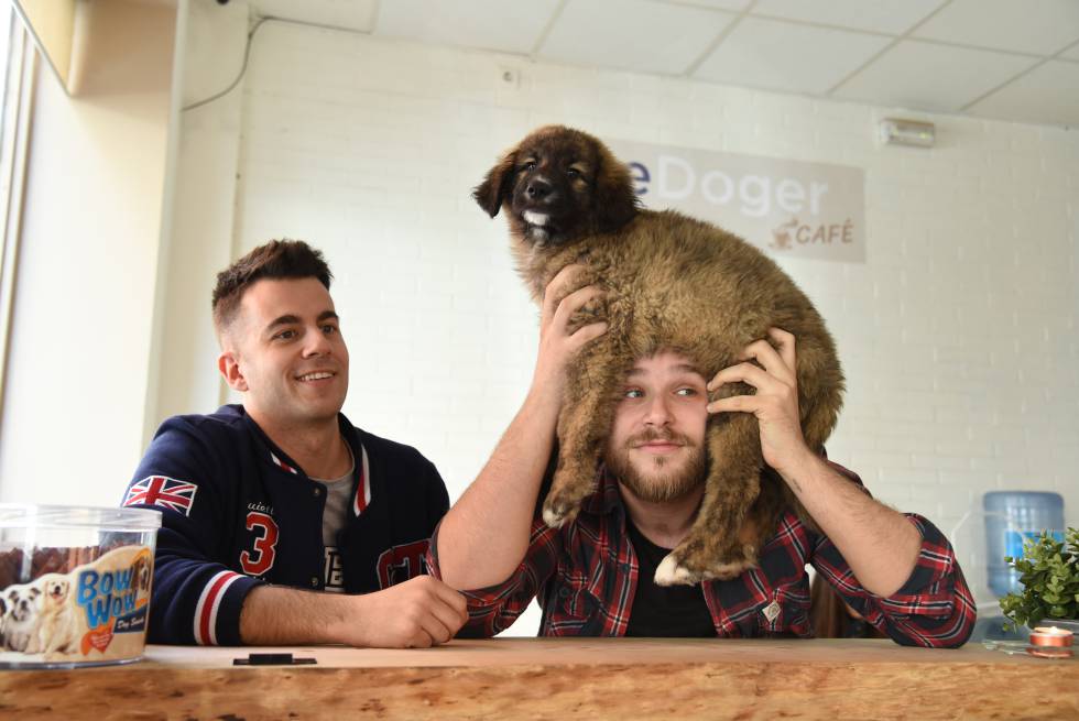 Entrar a por un café y salir con un cachorro