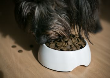 Perros, ensaimadas y patés
