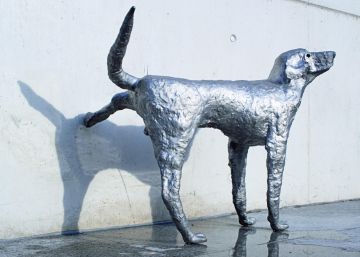 Con el perro en el museo