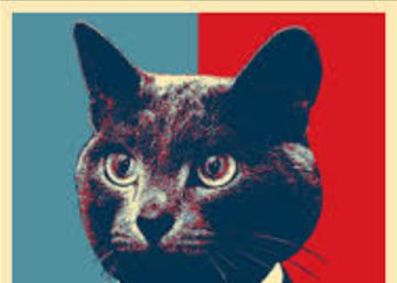 Aprende a votar sin propaganda