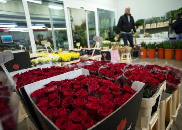 Los floristas prevén una caída en la venta de rosas en Sant Jordi por la proximidad de la Semana Santa