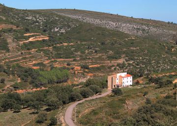“El mundo rural debe subirse al carro de la tecnología”