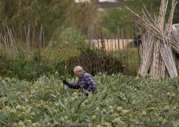 La ‘gran Barcelona’ blindarà la seva superfície agrícola i forestal