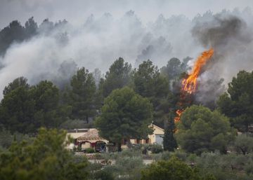 Un incendi crema 100 hectàrees al sud de Tarragona