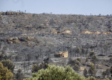 Barcelona prohíbe hacer barbacoas a 500 metros de las áreas forestales