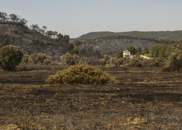 ERC reprocha a Buch su gestión en Interior tras el incendio de Tarragona