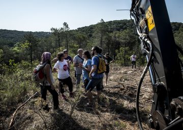 Suspendidas las obras de la C-32 por falta de garantías ambientales