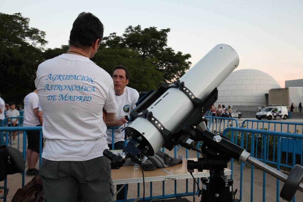 Verbenas animales y estrellas a pie de calle