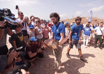 Si ves una tortuga boba, cuídala y llama al 112