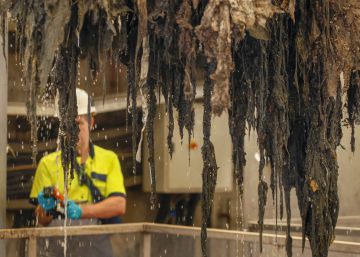 La ‘monstruosa’ factura de les tovalloletes higièniques