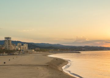 Prohibit el bany en una platja de Mataró per la presència d'una balena
morta