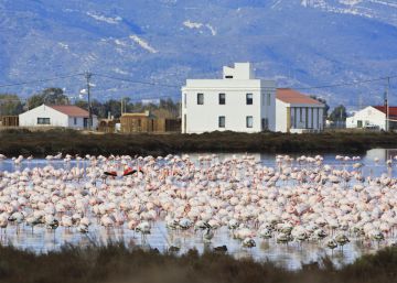 La reivindicació de les Lechuzas arriba a la gran cita de les aus