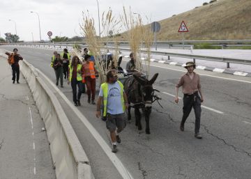 Entrar a Madrid en burro
