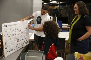 Juego de tronos en la civilización de las hormigas