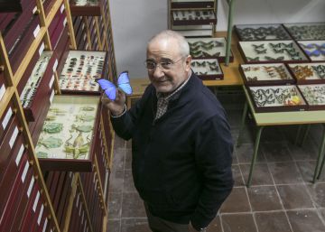 “La mayoría de los insectos son inocuos”