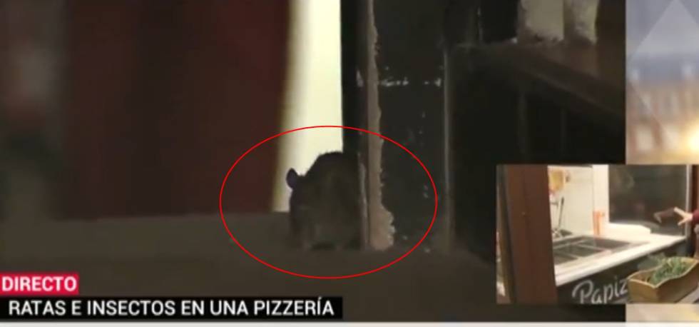 PizzeriaRo