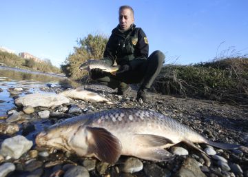 Un vertido industrial amenaza la recuperación del río Besòs