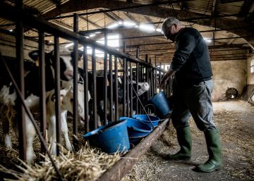 El sector agroalimentari genera el 16% del PIB català