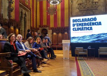 Expertos y ecologistas cuestionan la declaración de emergencia climática