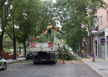 Un “Madrid verde” con menos árboles