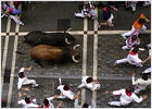 Los toros de Cebada-Gago ofrecen un segundo encierro rápido y limpio