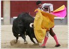 Retirada repentina de Morante de la Puebla