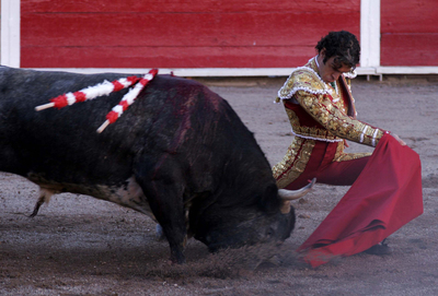 FOTOGALERIA: Vinatero
