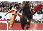 Francia declara los toros patrimonio cultural inmaterial Francia declara los toros patrimonio cultural inmaterial