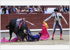foto de la noticia