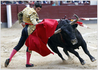 foto de la noticia