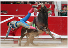 foto de la noticia