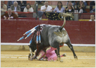 foto de la noticia