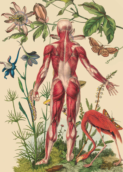FOTOGALERIA: 'Ciencias naturales'