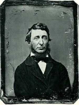 Henry David Thoreau. Henry David Thoreau.