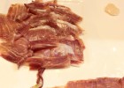 Novedades gastronómicas para capear tiempos de crisis Novedades gastronómicas para capear tiempos de crisis