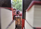 foto de la noticia